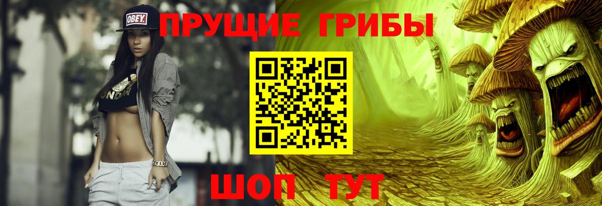 Псилоцибиновые грибы Psilocybe  Галлюциногенные грибы мухоморы  Чернушка  Вход с VPN 